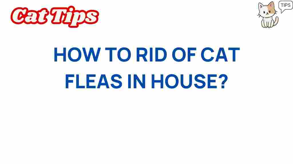 cat-fleas-elimination-tips