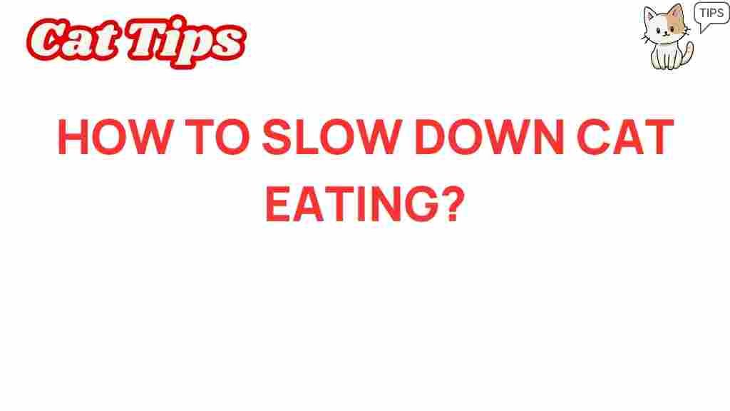 slow-feeding-cat
