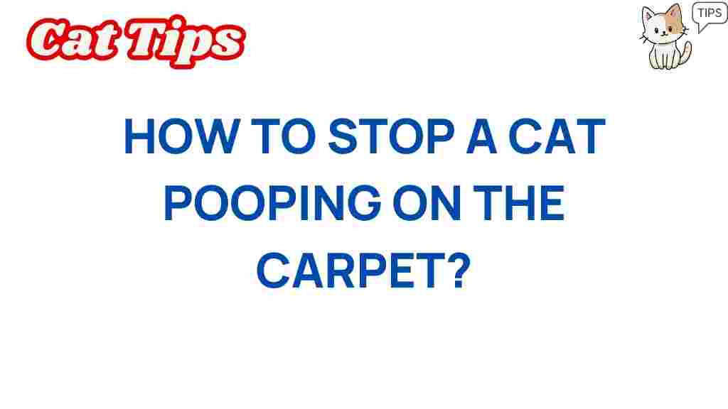 cat-behavior-stop-pooping-carpet