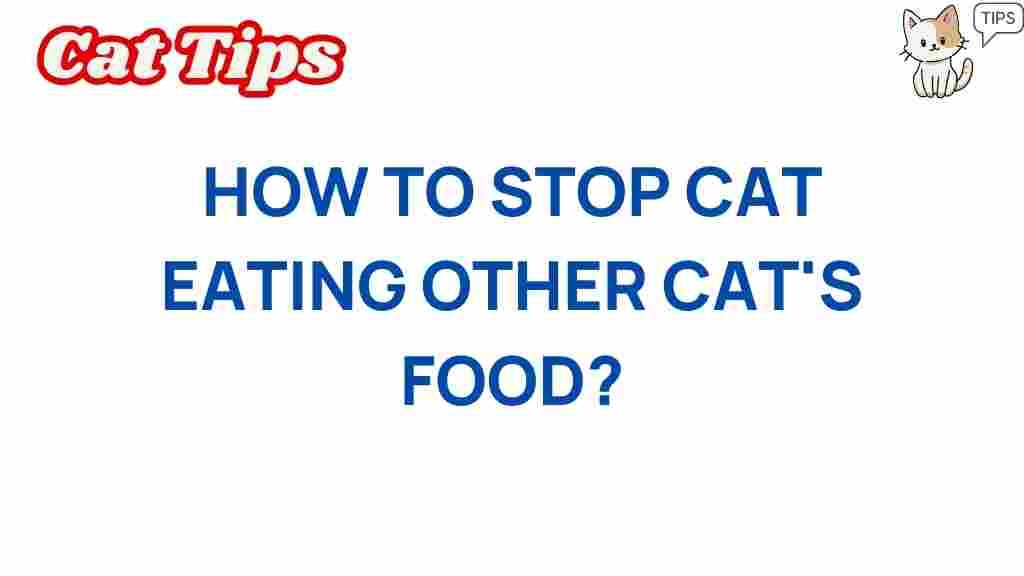 stop-cat-eating-other-cats-food
