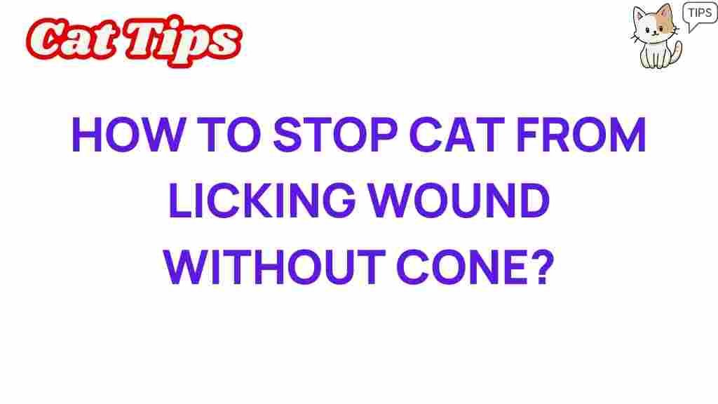 innovative-ways-stop-cat-licking-wound