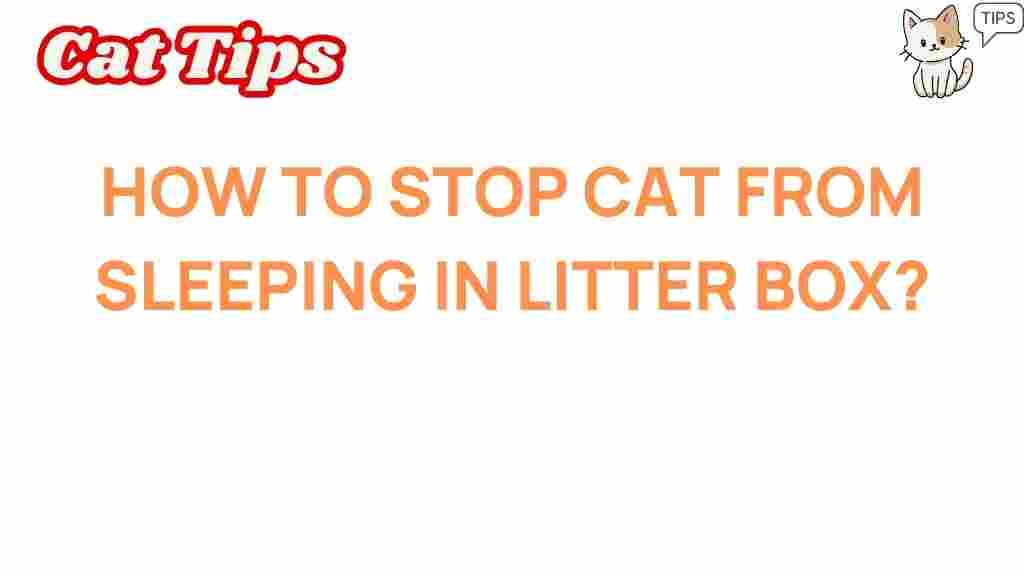 why-is-my-cat-sleeping-in-litter-box