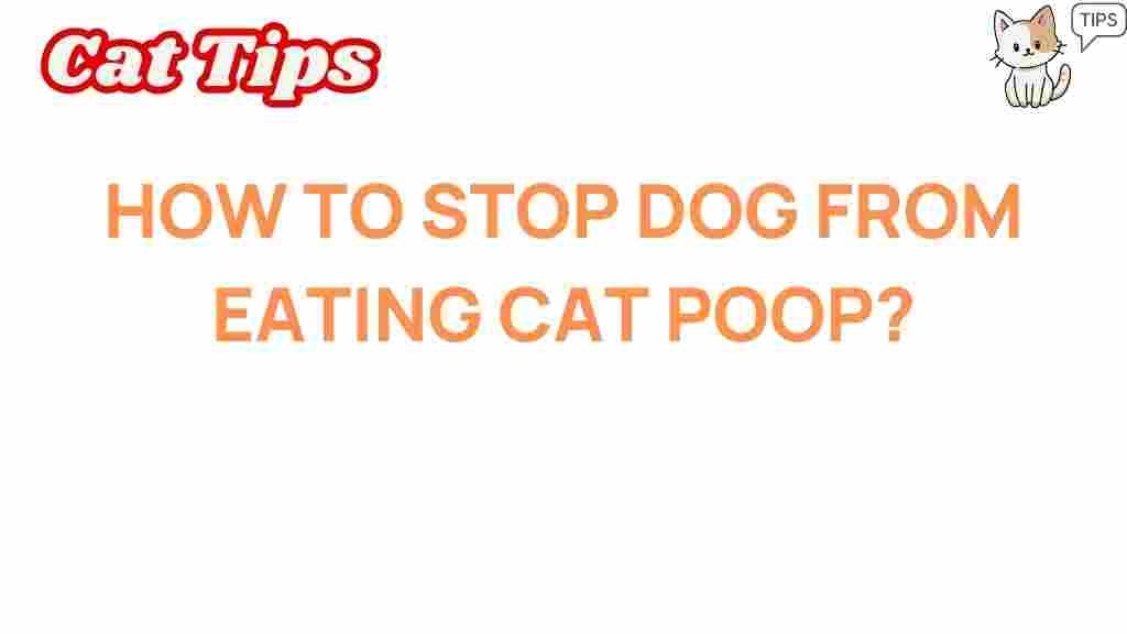 stop-dog-eating-cat-poop