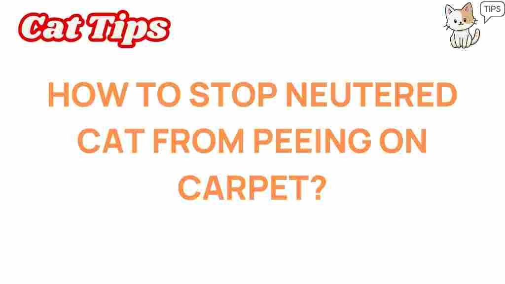 neutered-cat-peeing-carpet