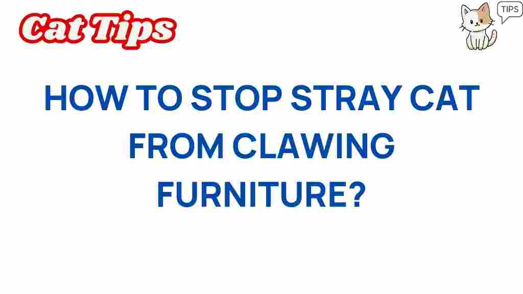 stop-stray-cats-clawing-furniture