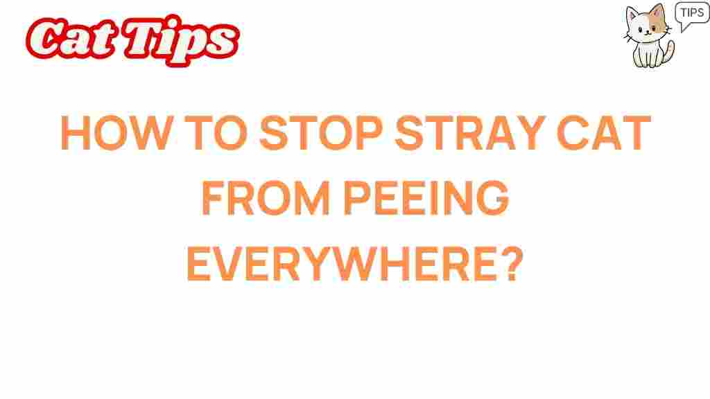 stray-cat-prevention-strategies