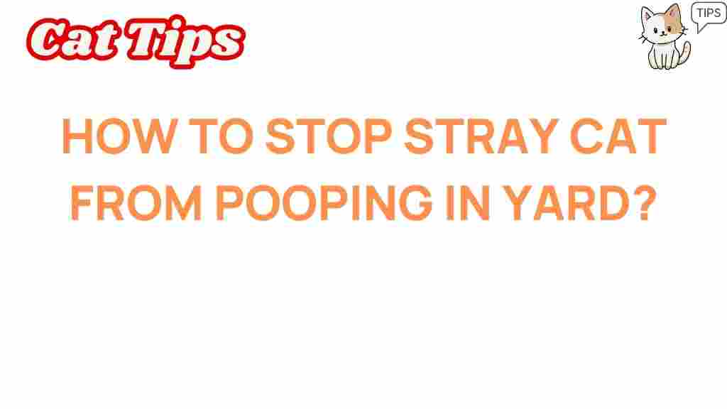 stop-stray-cats-pooping-yard