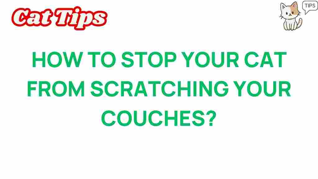 stop-cat-scratching-couches