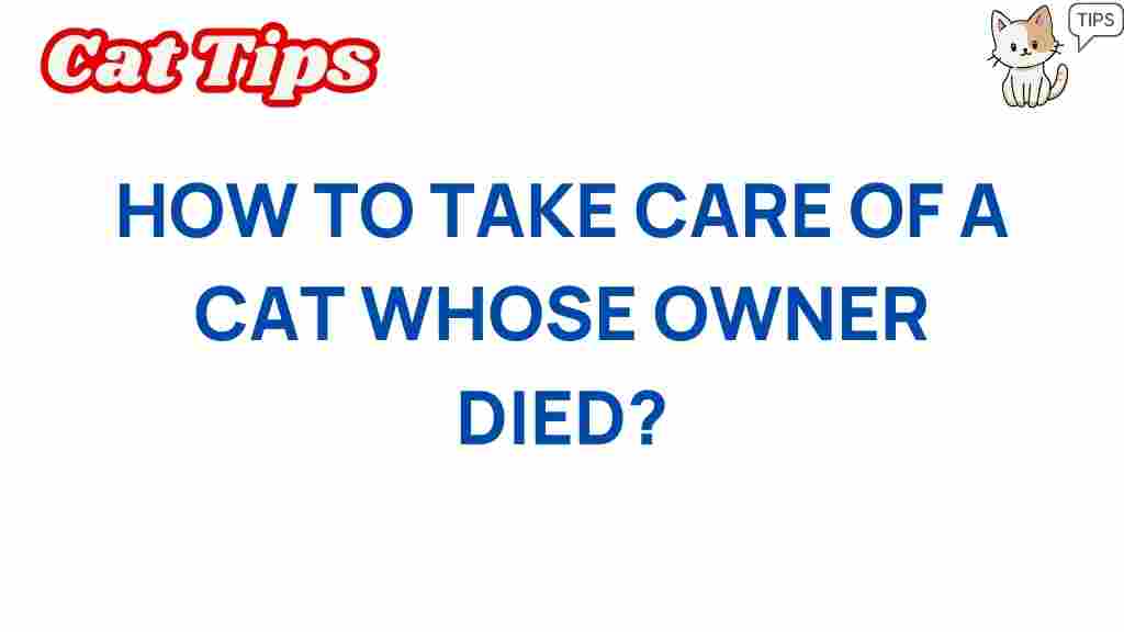 cat-care-after-owner-passing