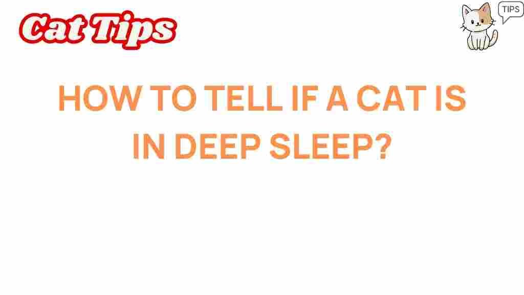 cat-sleep-deep-sleep-indicators
