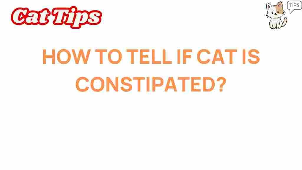 cat-constipation-signs