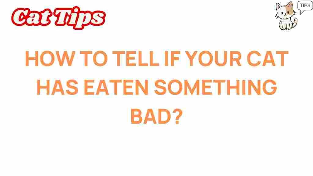 cat-health-eaten-something-bad
