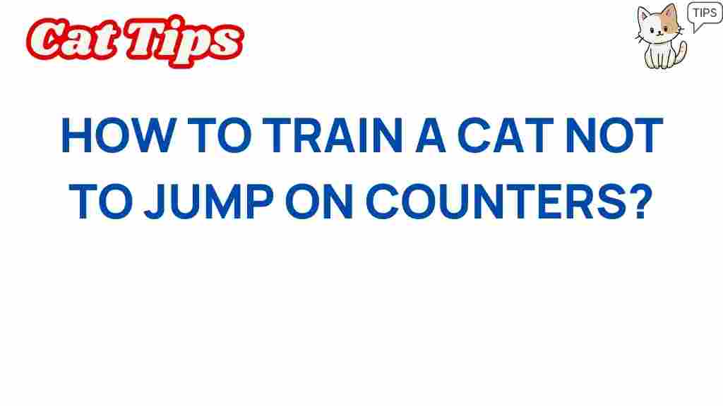 cat-training-counters-off-limits