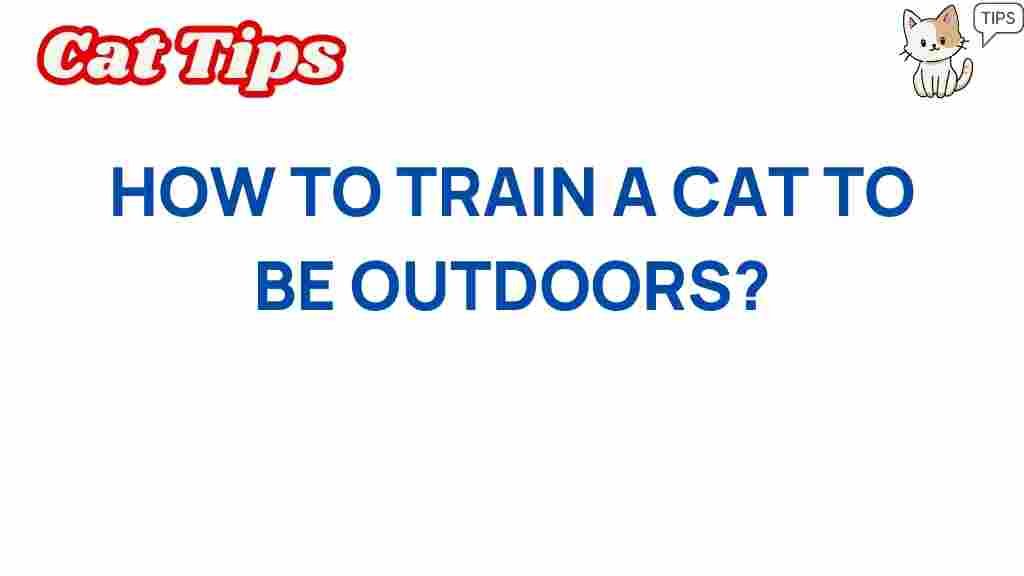 cat-training-outdoor-adventures