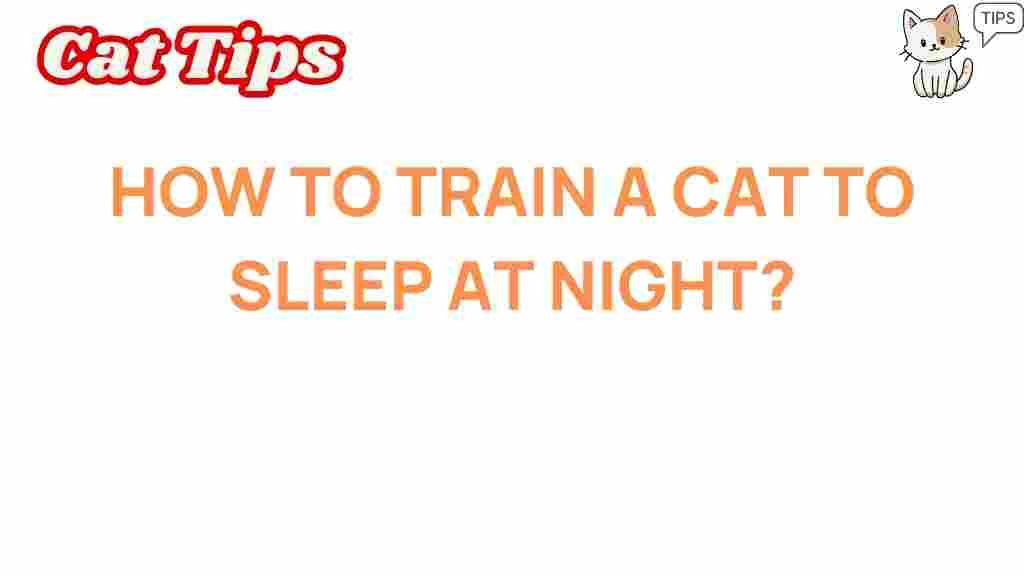 cat-training-sleep-at-night