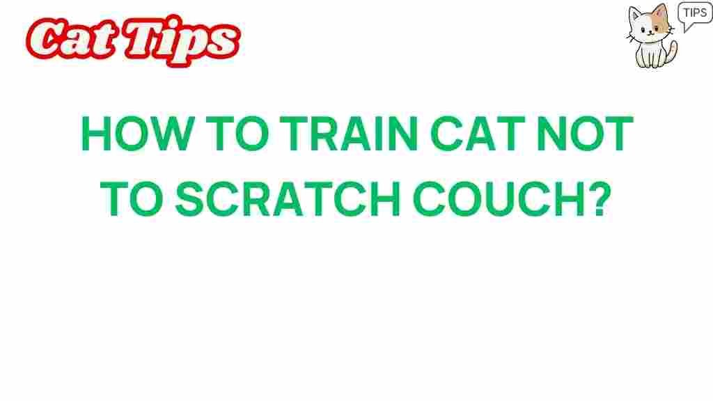 train-cat-not-scratch-couch