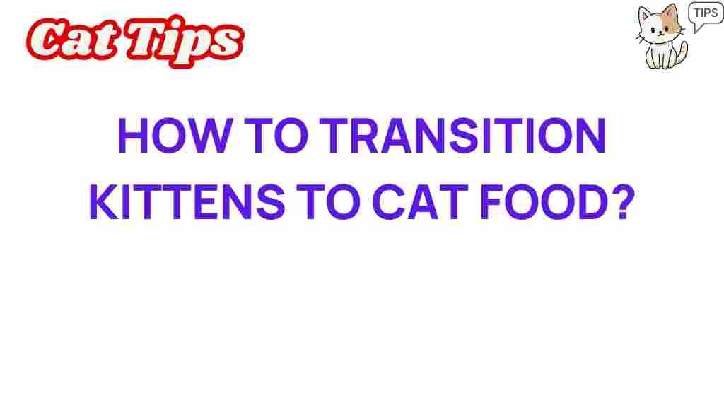 transitioning-kittens-to-cat-food