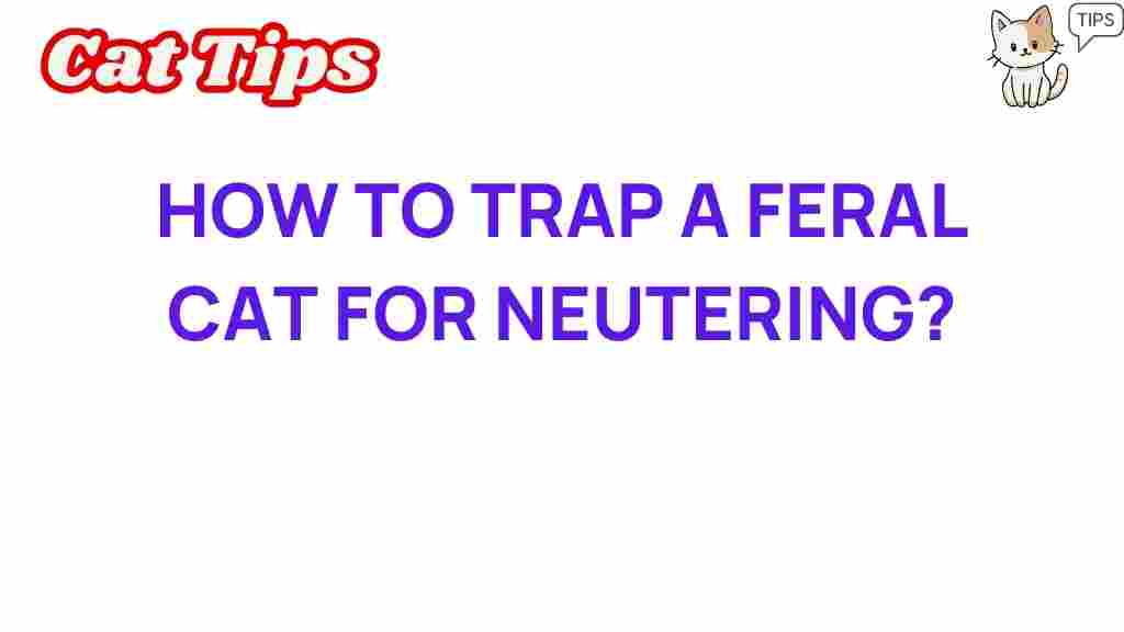 feral-cats-trapping-neutering