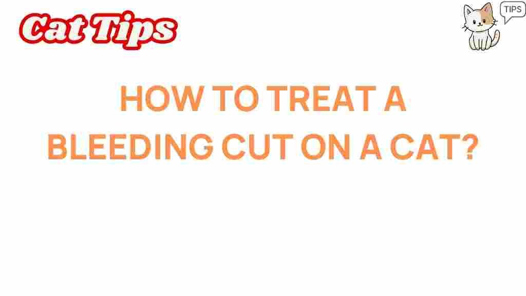 treat-bleeding-cut-cat