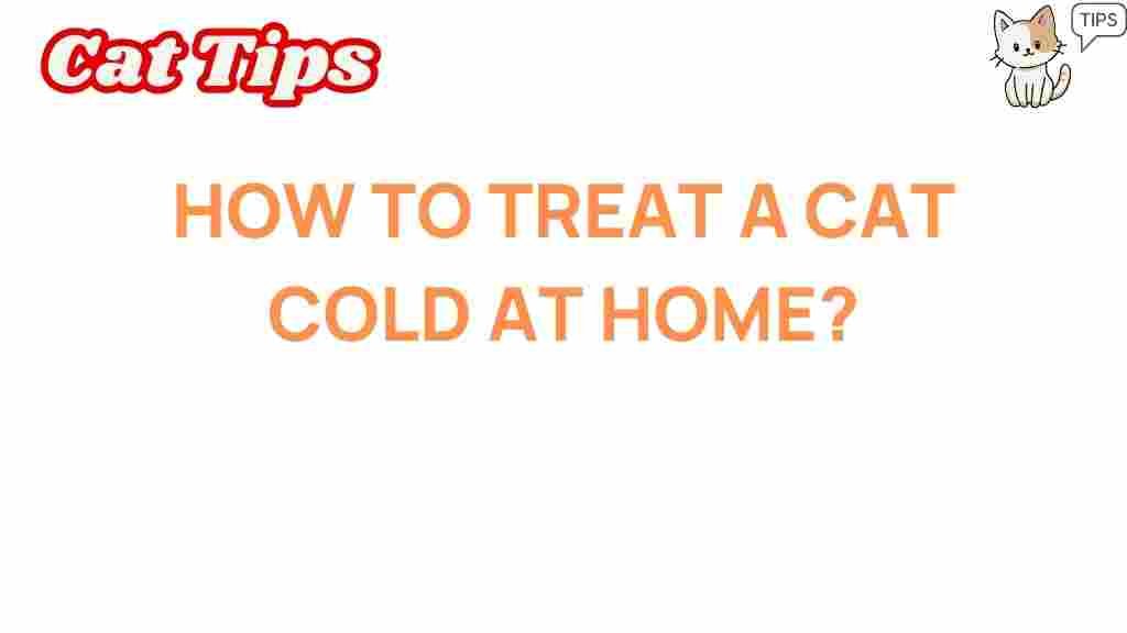 cat-cold-home-remedies