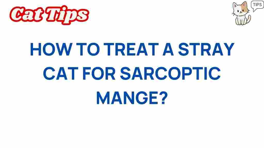 treat-stray-cats-sarcoptic-mange
