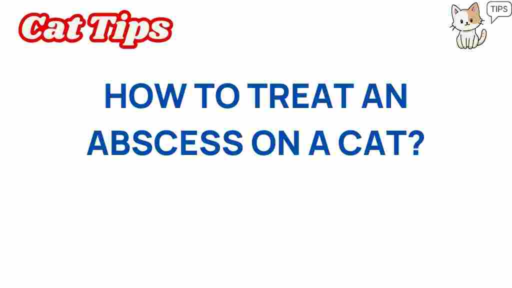 cat-abscess-treatment