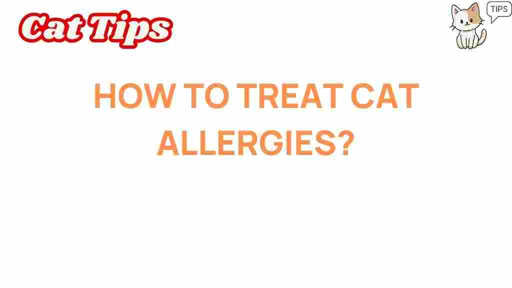 cat-allergies-relief-strategies