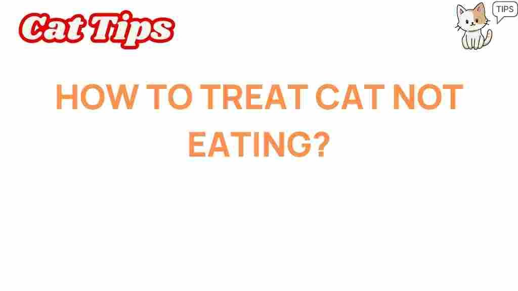 cat-appetite-tips