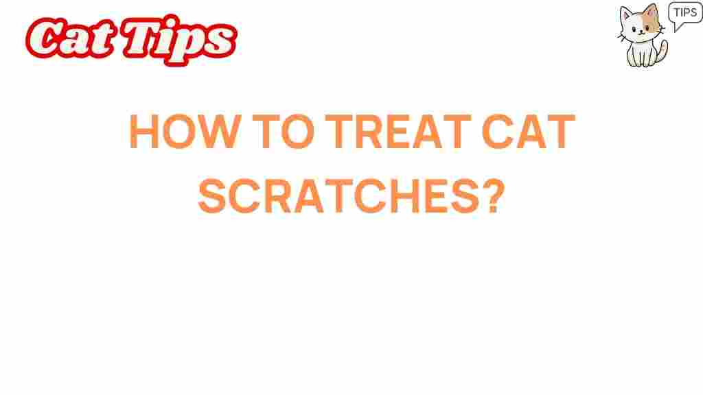 cat-scratches-care-guide