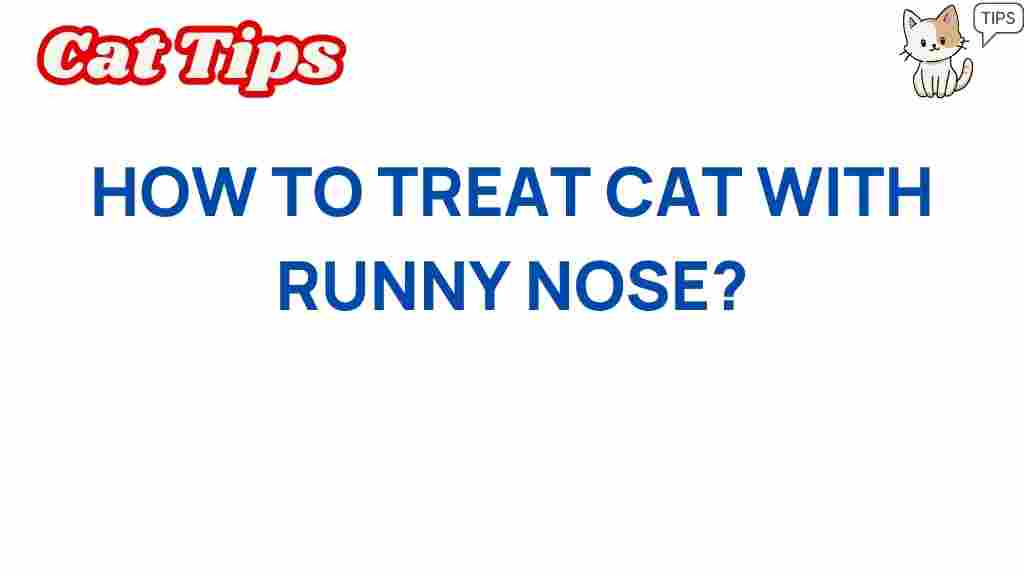cat-health/runny-nose-treatment