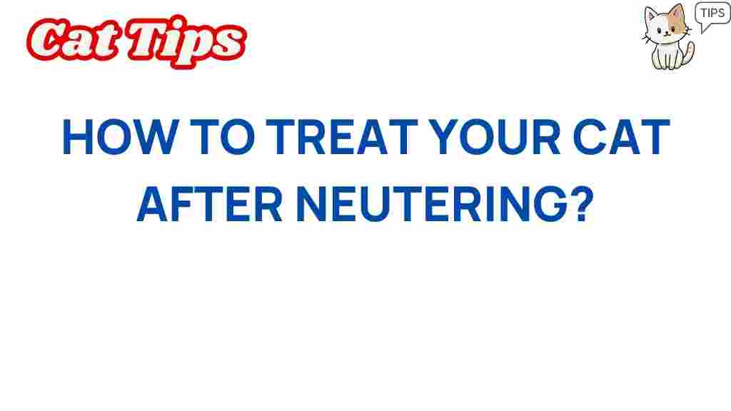 essential-care-tips-cat-neutering