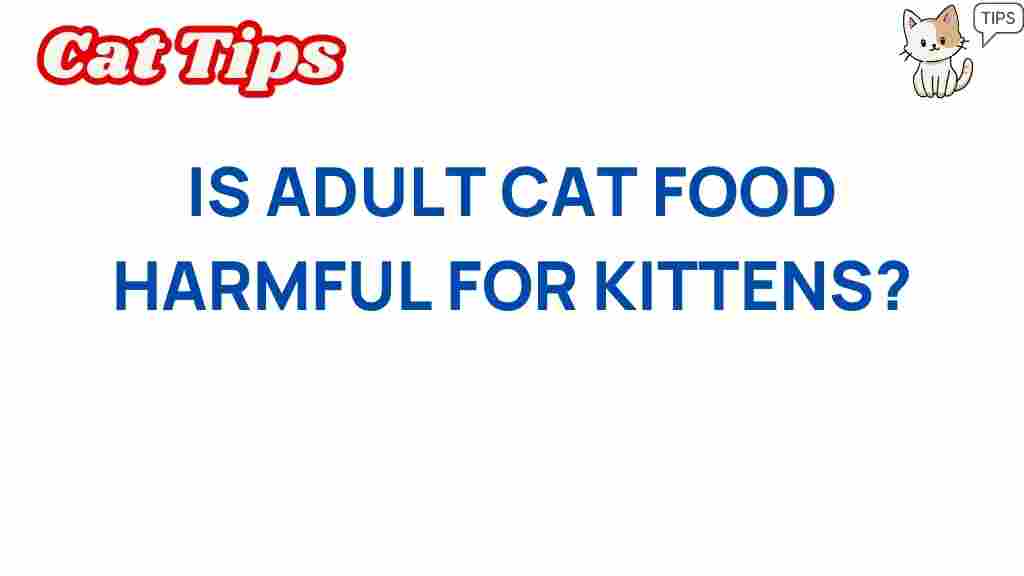 is-adult-cat-food-harmful-for-kittens