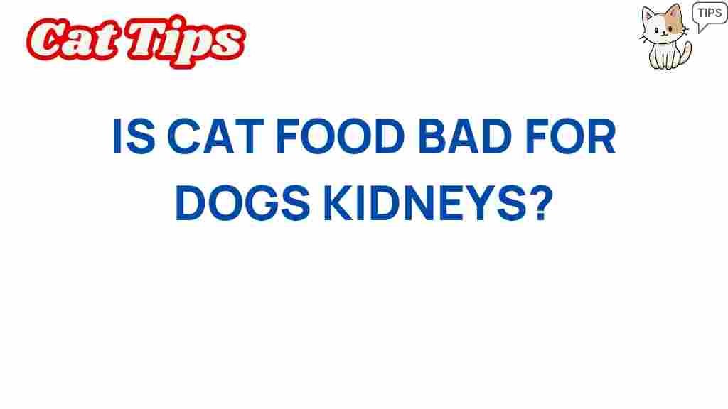 is-cat-food-bad-for-dogs-kidneys