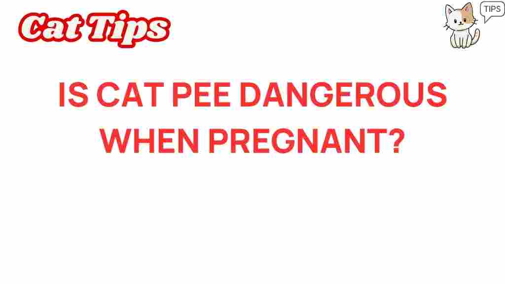 cat-pee-dangerous-pregnancy