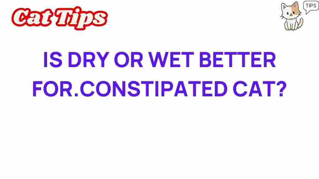 dry-or-wet-food-constipated-cat