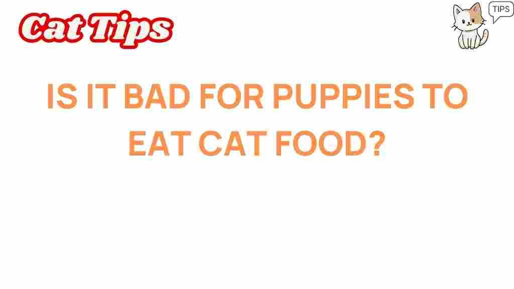 puppies-eat-cat-food