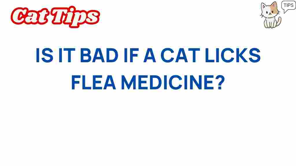 cat-licks-flea-medicine