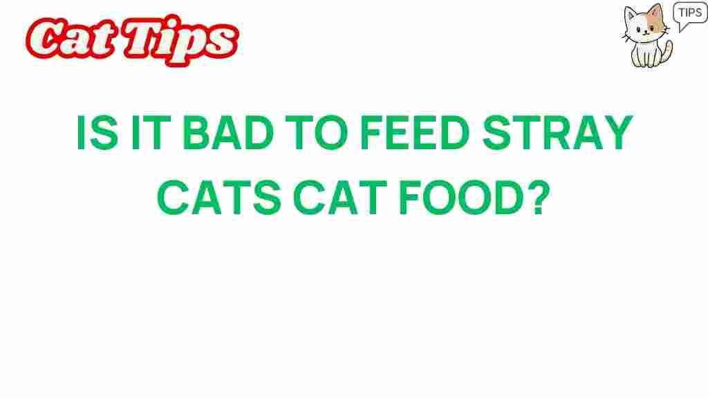 stray-cats-cat-food-dangers
