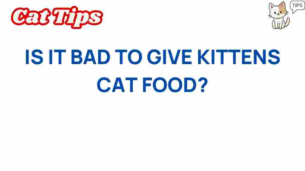 is-it-bad-to-feed-kittens-cat-food