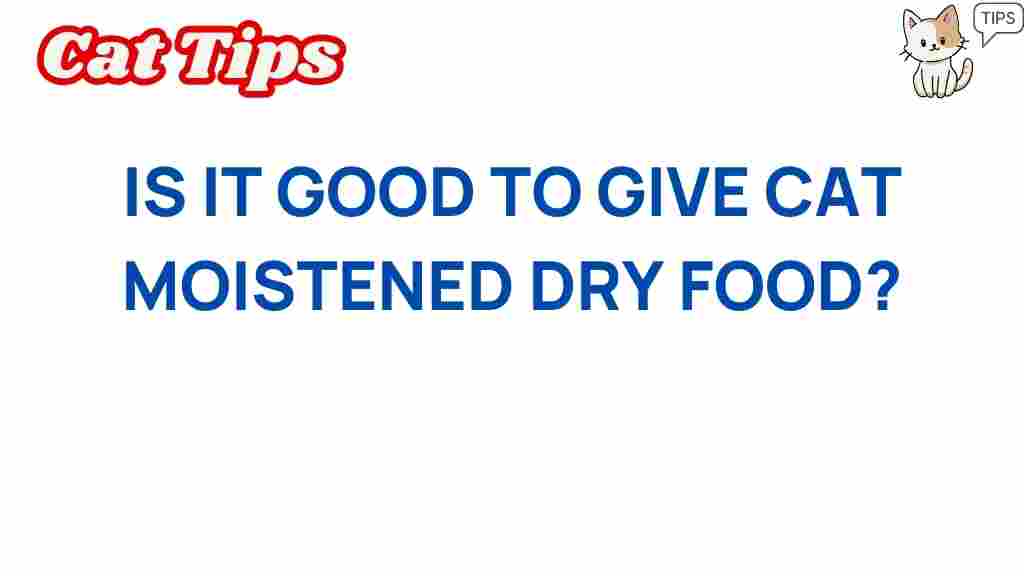 moistening-cat-dry-food