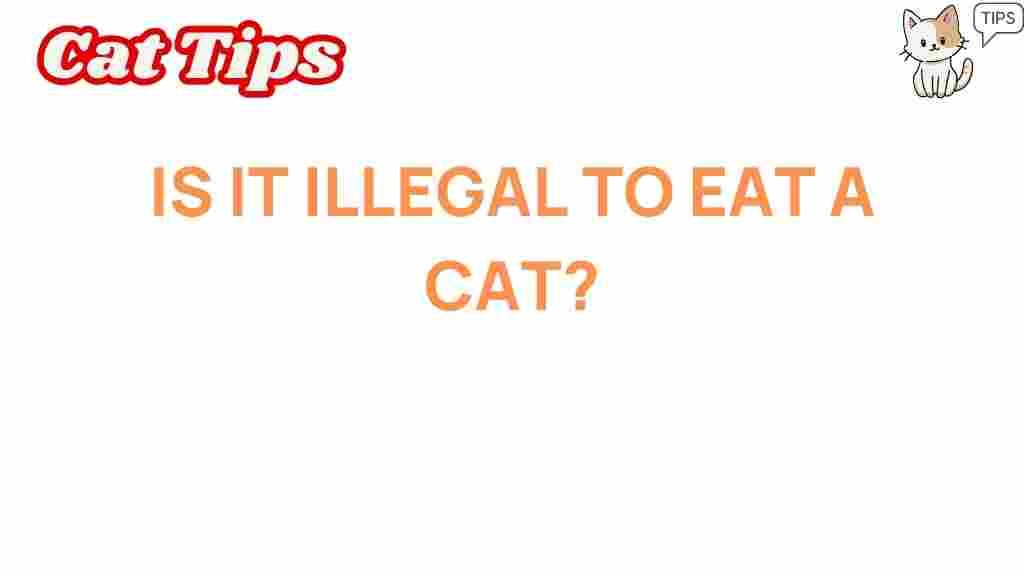 cat-consumption-legal-or-not