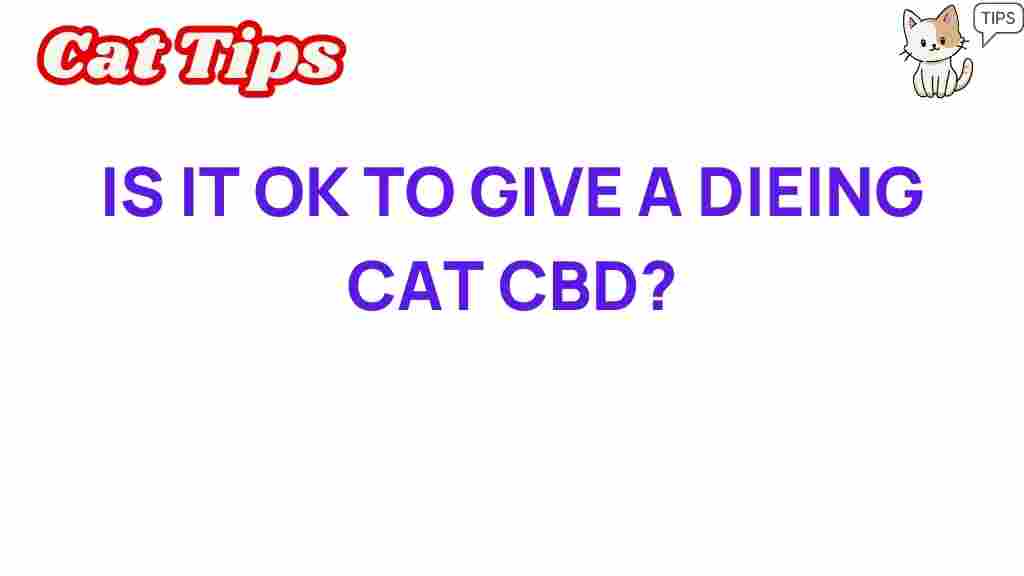 cbd-for-cats-dying