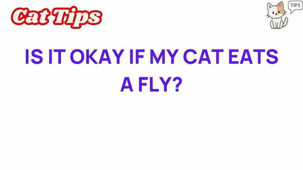 cat-eat-fly-safety