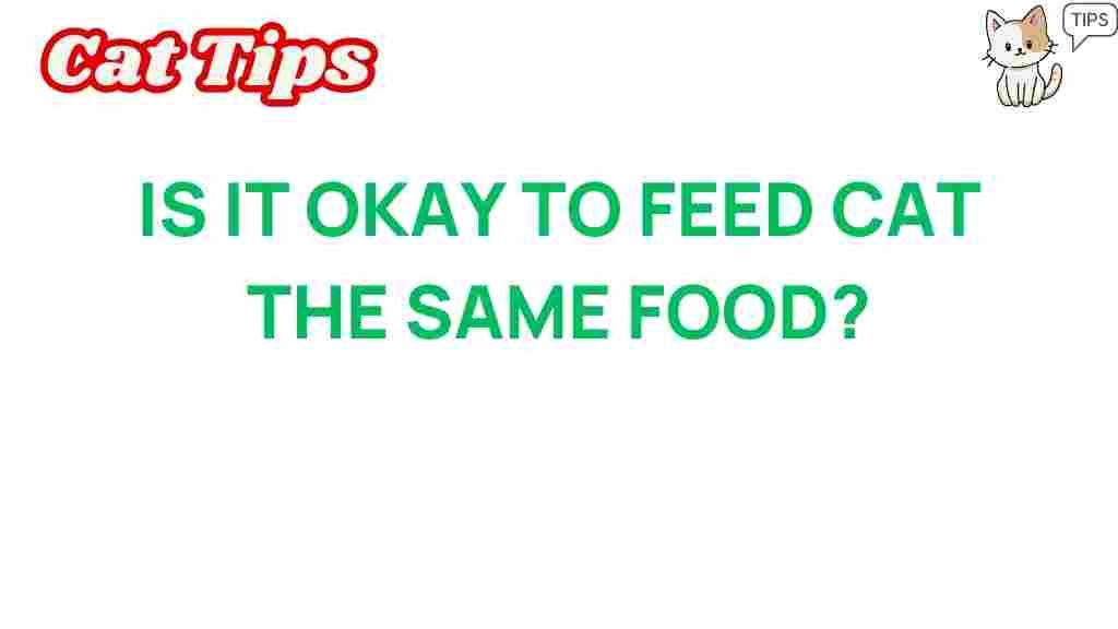 feed-cat-same-food