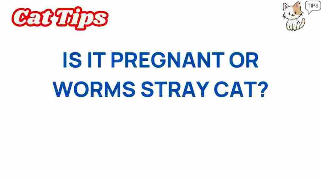 stray-cats-pregnancy-worms