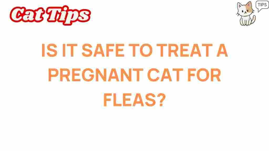 is-it-safe-to-treat-a-pregnant-cat-for-fleas