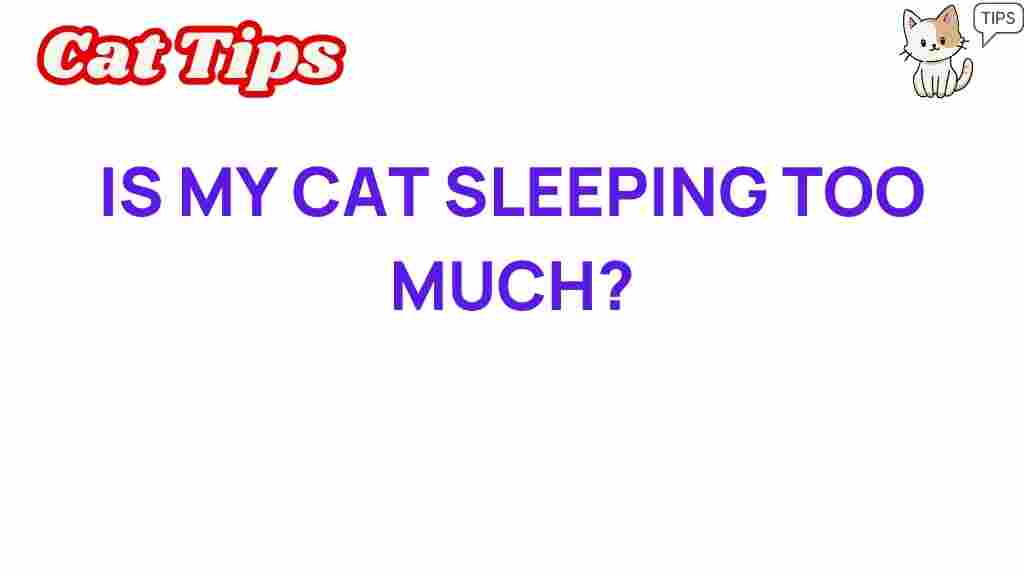 is-your-cat-sleeping-too-much