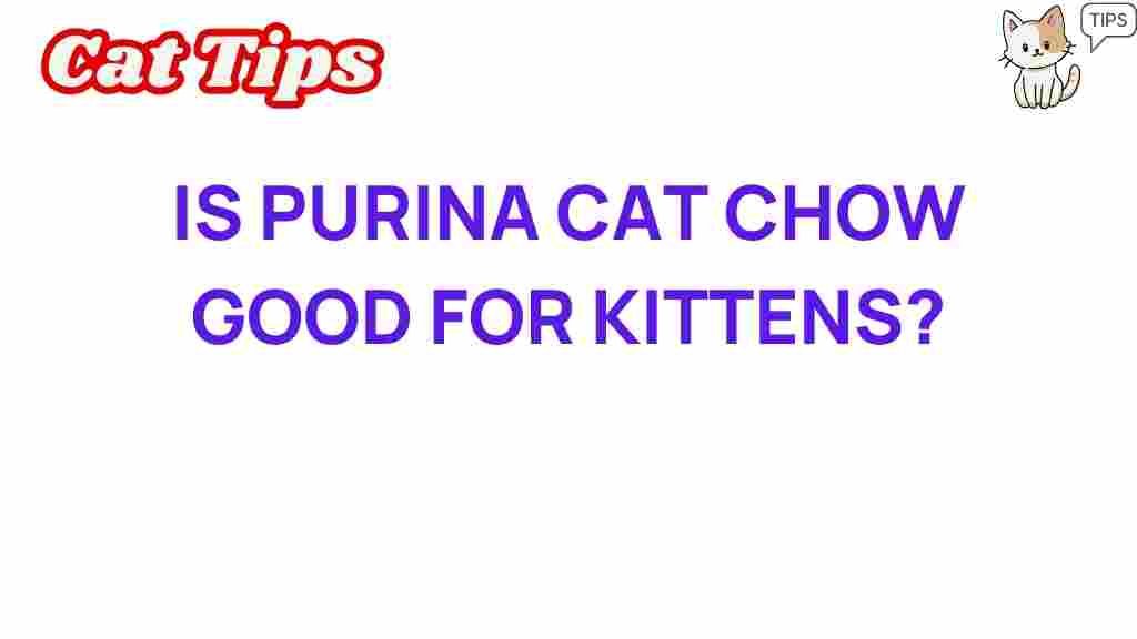 purina-cat-chow-kitten-nutrition
