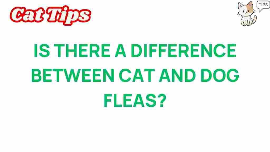 cat-fleas-vs-dog-fleas