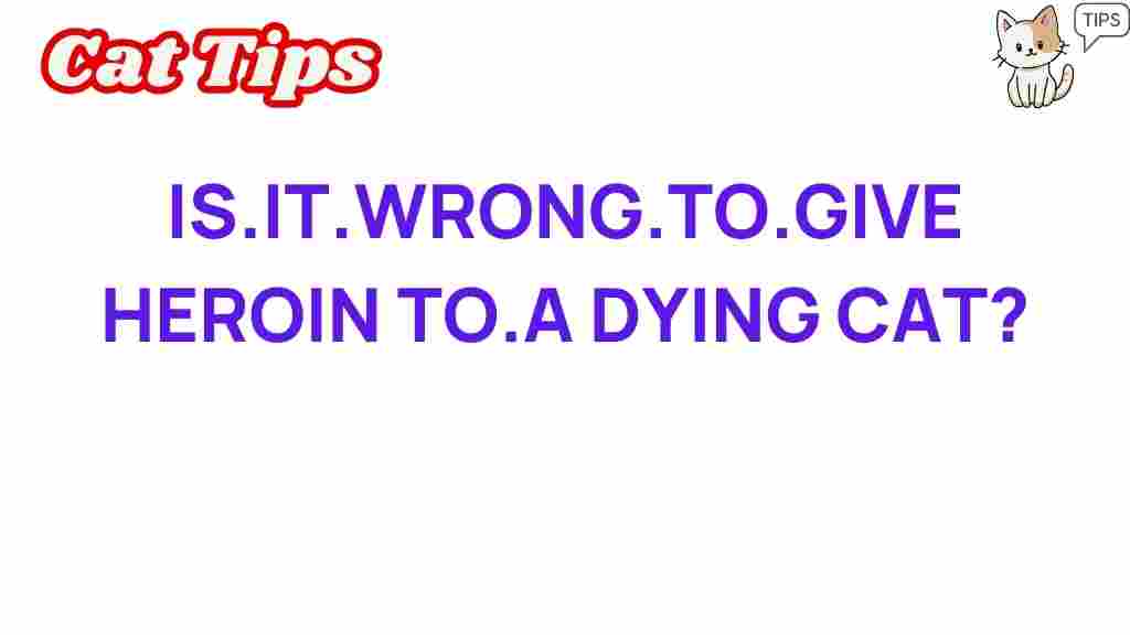 is-it-ethical-to-administer-heroin-to-terminal-cat